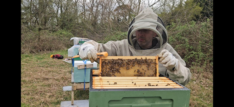 Beekeeping services