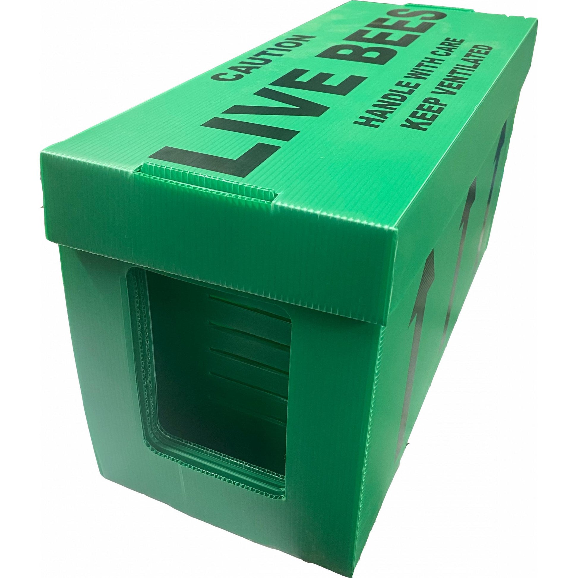 6-frame nucleus of bees - Addlestone honey