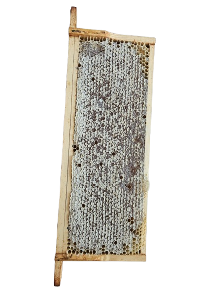 Frame of 100% Pure Raw Honeycomb - Addlestone honey