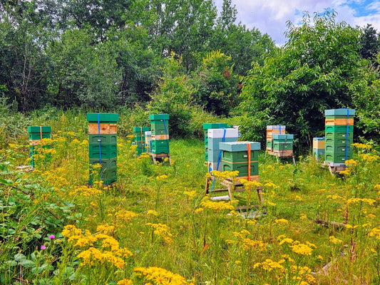 Local natural and organic honey