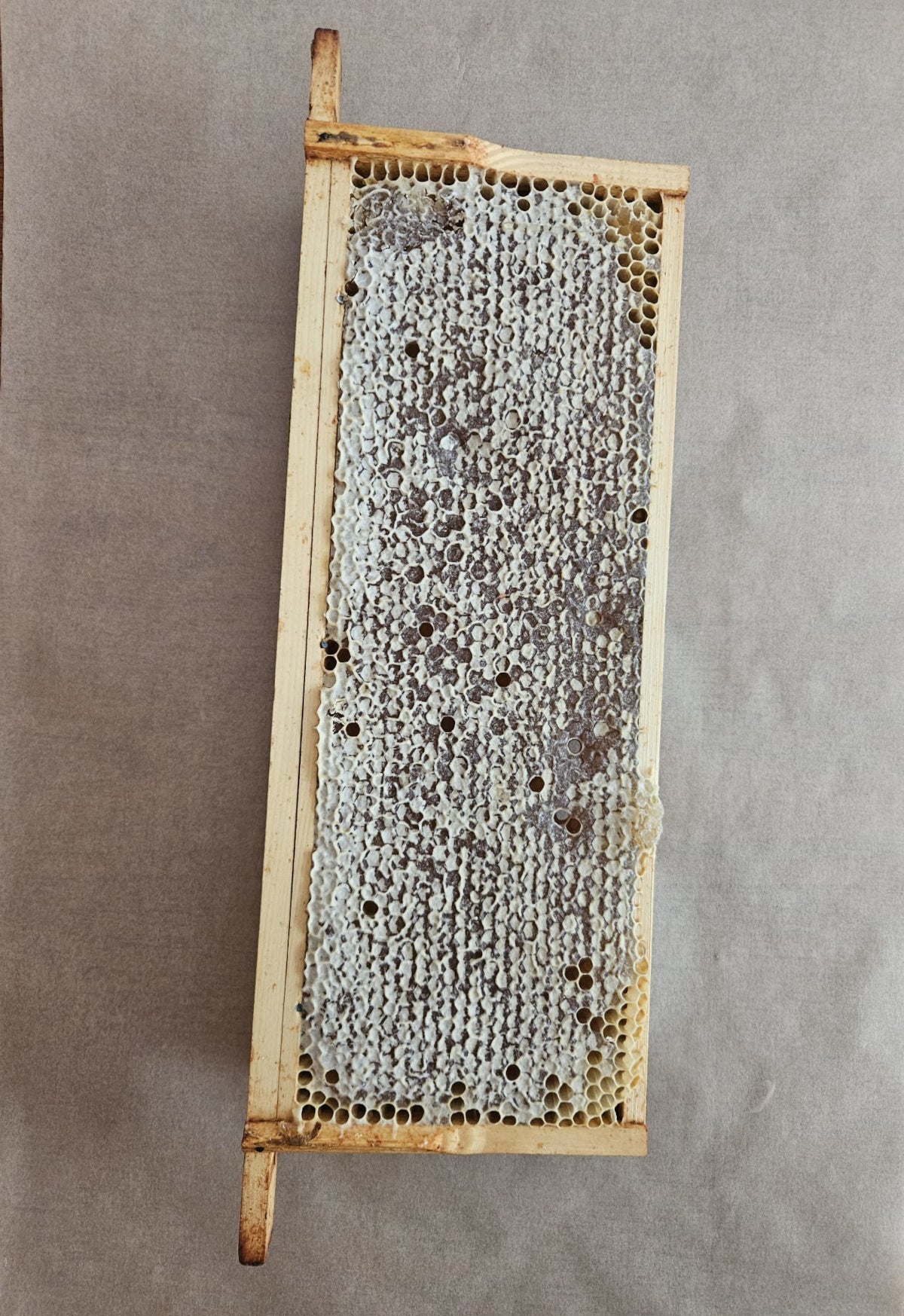 Frame of 100% Pure Raw Honeycomb - Addlestone honey