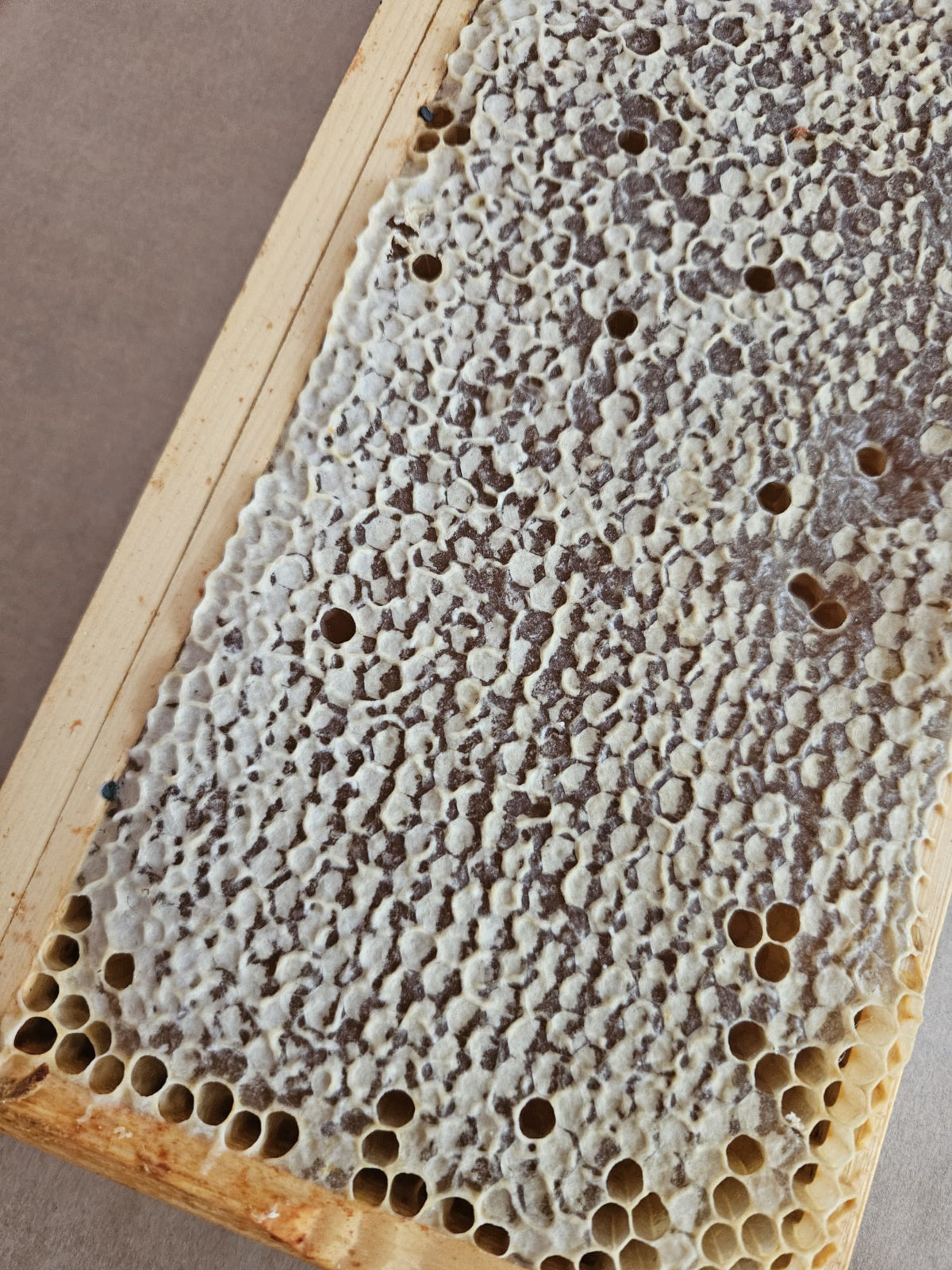 Frame of 100% Pure Raw Honeycomb - Addlestone honey